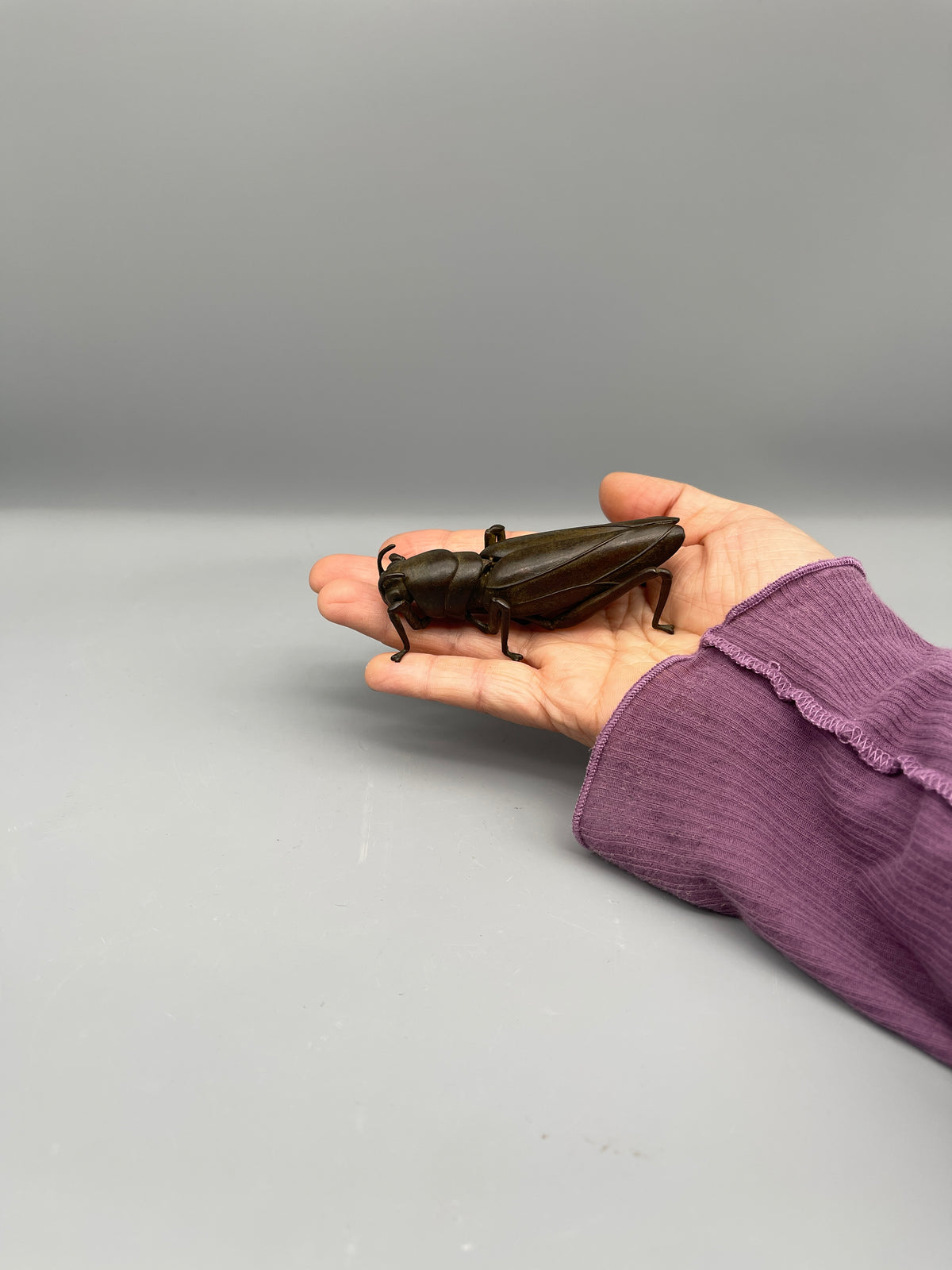 Bronze Chinese Grass Hopper Figurine