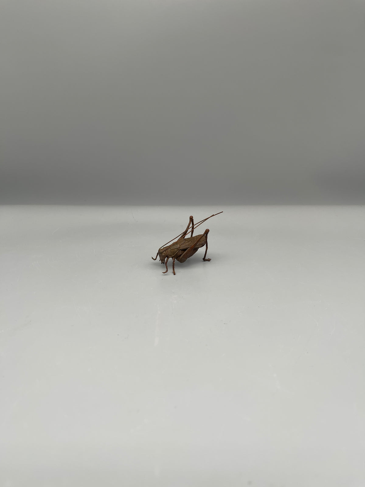 Bronze Chinese Cricket Figurine
