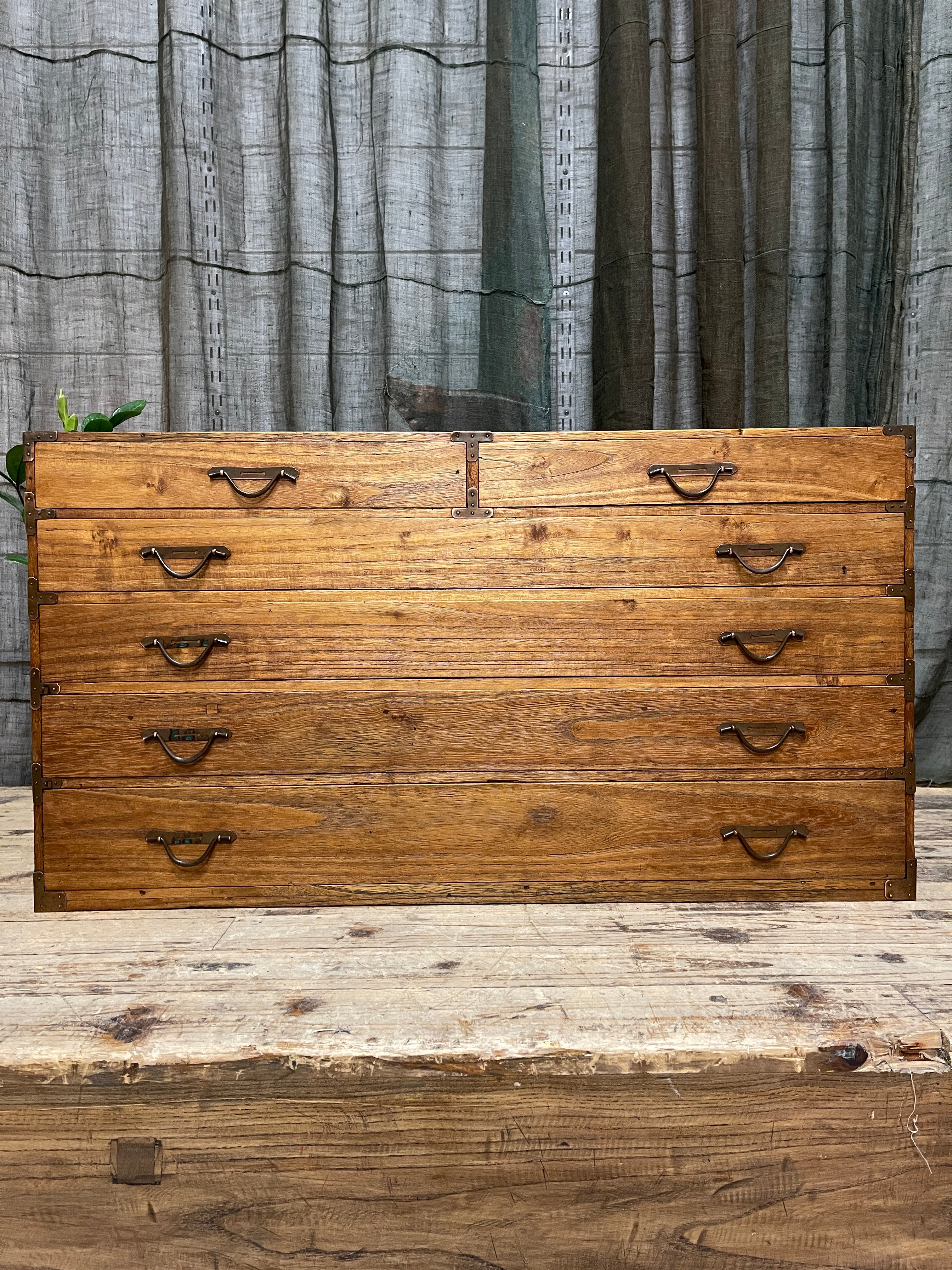Japanese 6 Drawer Chest - paulownia | Meiji