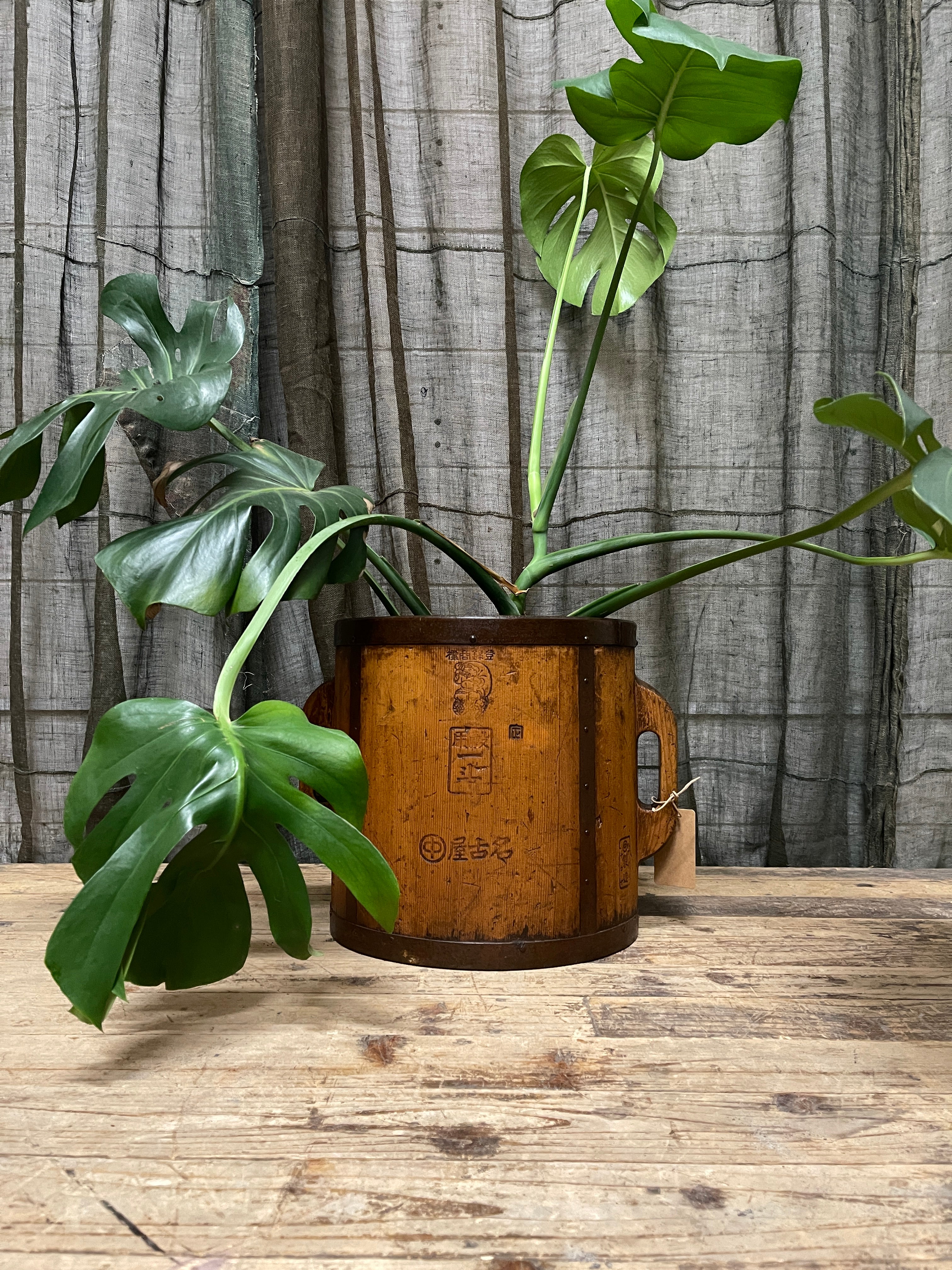 Tomasu, Antique Japanese Rice Measure Bucket