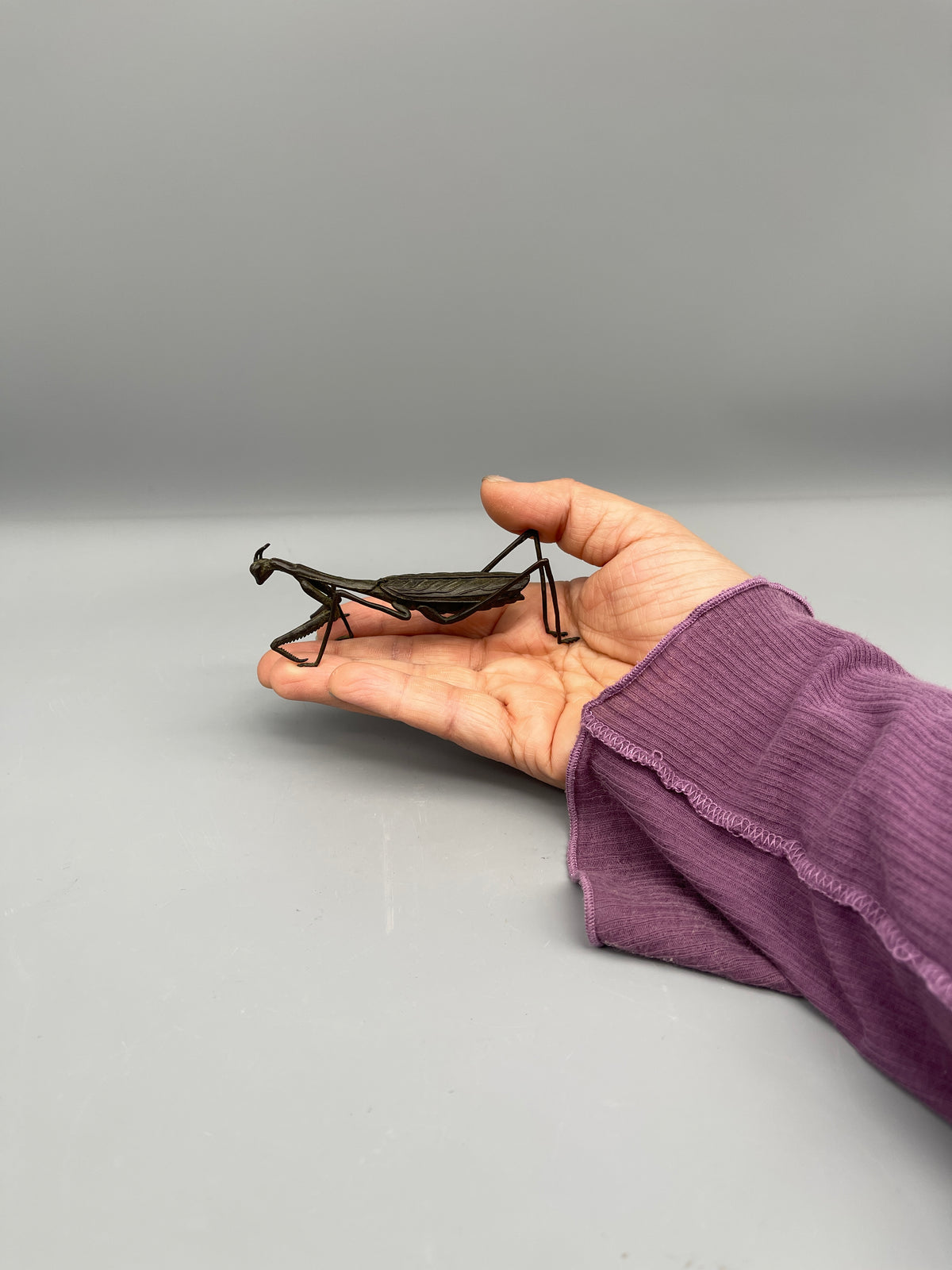 Bronze Chinese Mantis Figurine